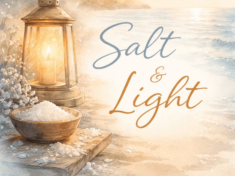 Salt and Light: The Quiet&nbsp;Influence