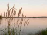 Yahweh in the&nbsp;Quiet